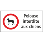 Chiens interdits